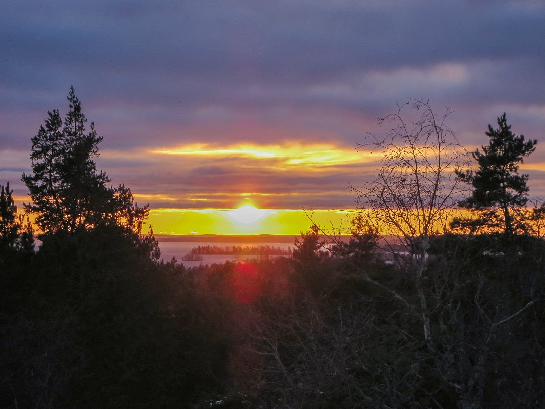 Rösaringsåsens naturreservat, Bro - november 2023 sunset